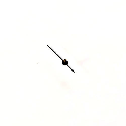 Elgin size pocket watch - pocket,